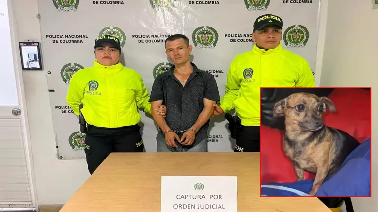 Indignación en Santander: judicializan a hombre señalado de abusar sexualmente de una perrita imagen de la publicación