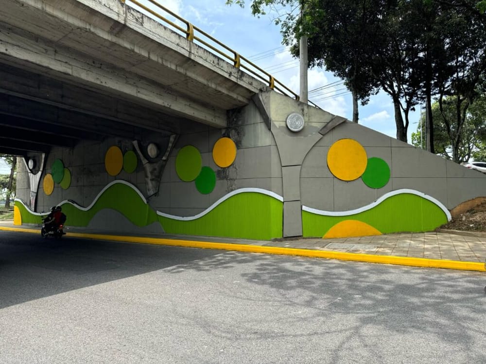 Mujer murió tras sufrir un accidente en moto en el puente de Provenza en Bucaramanga imagen de la publicación