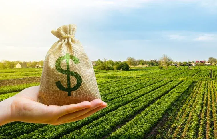 Gobierno reporta crecimiento del crédito agropecuario en un 33% imagen de la publicación