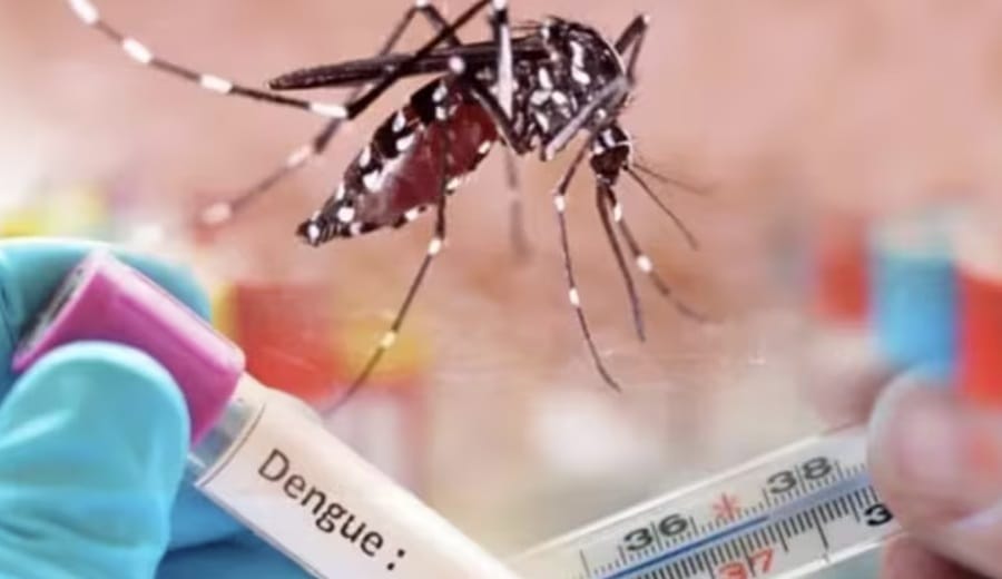 Reducción del dengue en Floridablanca en medio de constante alerta imagen de la publicación