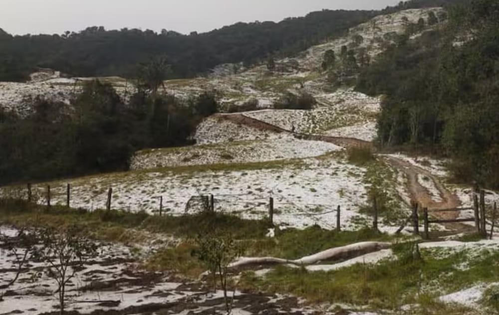 Granizada destruye cultivos y causa daños en zona rural de Guaca, Santander imagen de la publicación