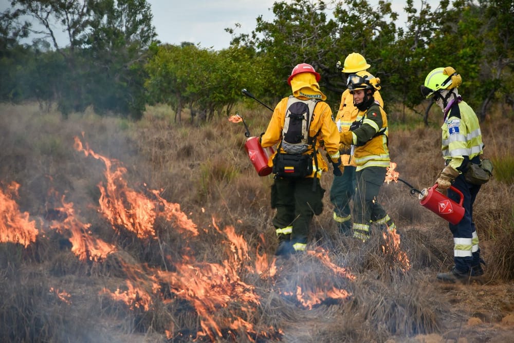 Incendios forestales: apagar el fuego no es recuperar el territorio imagen de la publicación