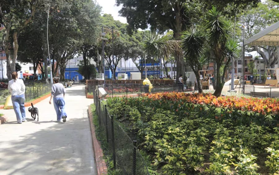 Presentada nueva cara del Parque Bolívar que recibió una onerosa 'cirugía estética' en Bucaramanga imagen de la publicación