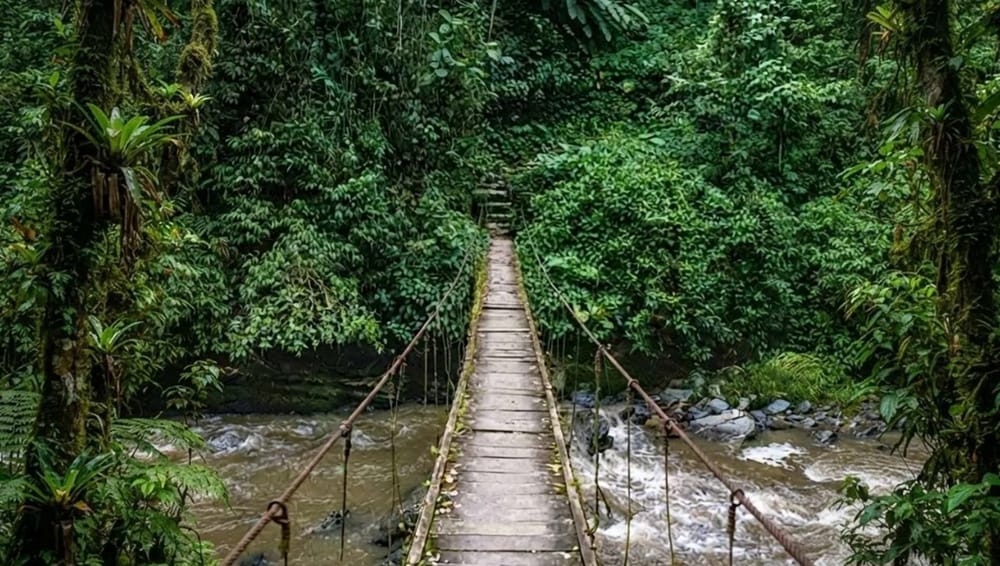 Cerrado el turismo hasta nueva orden en las Ventanas de Tisquizoque imagen de la publicación
