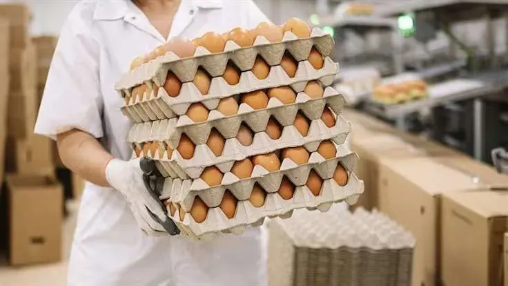 Avicultores de Santander se suman a donación de un millón de huevos en Colombia imagen de la publicación