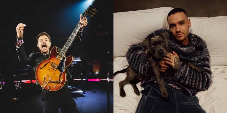 Harry Styles rindió homenaje a  Liam Payne con canción inédita imagen de la publicación