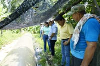 Santander, región pionera en la elaboración de biofertilizantes a partir de la transformación de desechos imagen de la publicación