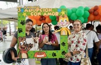 Tercera Jornada de Adopción de Mascotas imagen de la publicación