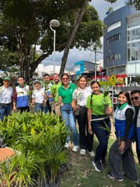 Iniciativa de la CDMB para  salvar la palma de cera imagen de la publicación