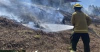 Peligro de incendios forestales por altas temperaturas en Santander imagen de la publicación