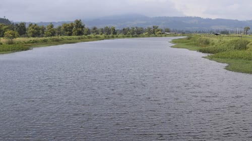 Río Suárez acabó con la ‘Ruta del Petróleo’ imagen de la publicación