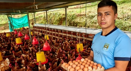 Ayudan a familias campesinas con mil gallinas ponedoras