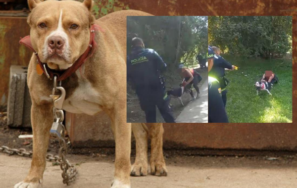 Perro atacó a policías por orden de su dueña que no acató advertencias de los uniformados