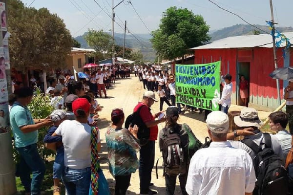 VIDEO. Elenos y disidentes se unen para combatir contra Clan del Golfo en Sur de Bolívar