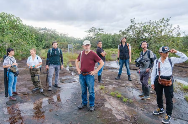 Lanzan primer teaser de la película "40 días perdidos en la selva"