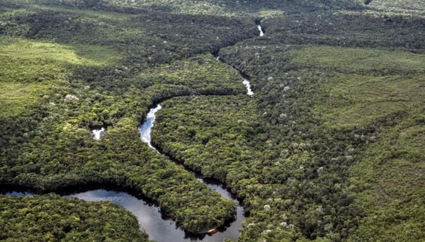El calentamiento global agudiza sequía histórica en el Amazonas