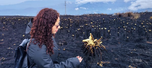 Expertos de la UPB Bucaramanga proponen estrategias para restaurar el Páramo de Santurbán