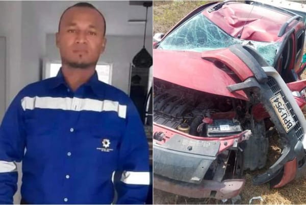 Conductor perdió la vida tras ser picado por abejas africanizadas