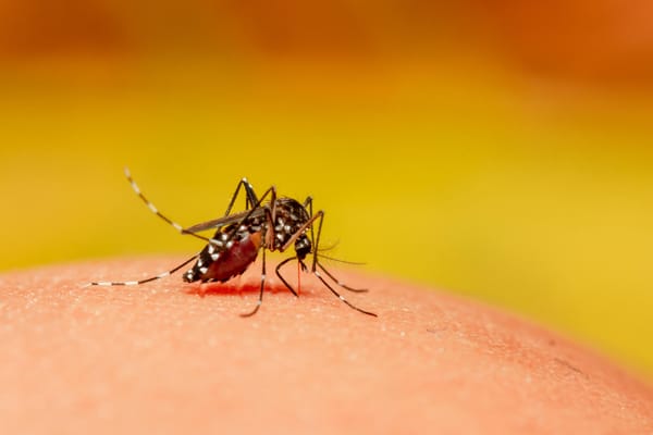 Colombia enfrenta epidemia de dengue con más de 55 mil casos