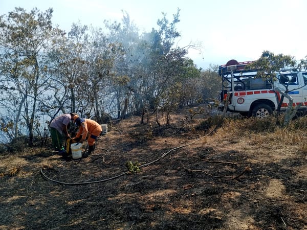 Incendios forestales devastan áreas naturales y granjas apícolas en Santander