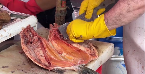 Autoridades de Piedecuesta vigilan condiciones de expendios de pescado