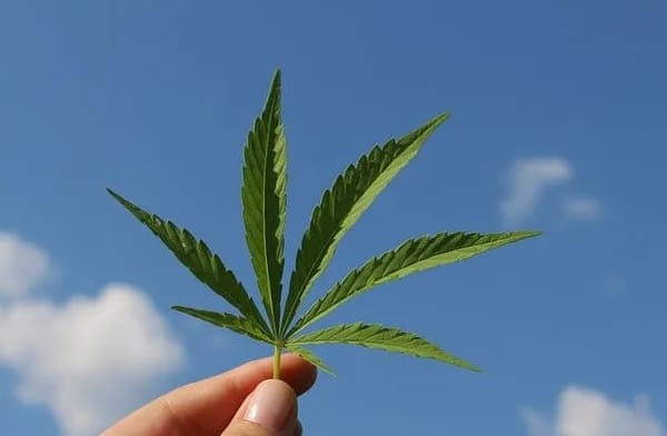 Alemania aprueba ley de cannabis recreativo