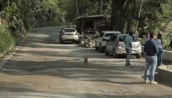 Cierres intermitentes en la vía Bucaramanga - Matanza por obras de mantenimiento