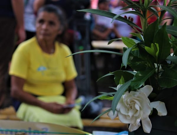 Inicia proceso de reparación para sobrevivientes y familiares de la Unión Patriótica