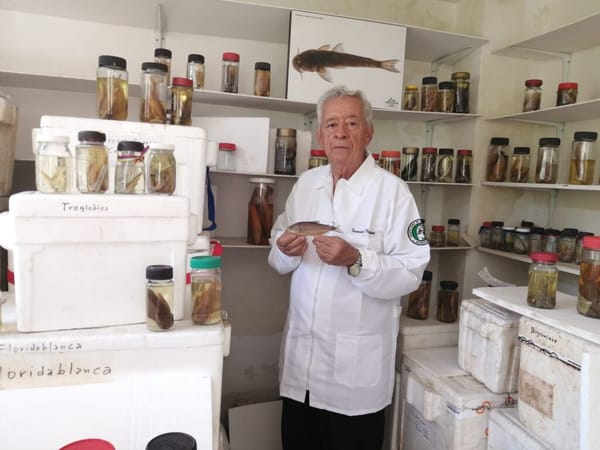 Investigador santandereano donará colección ictiológica a la UIS