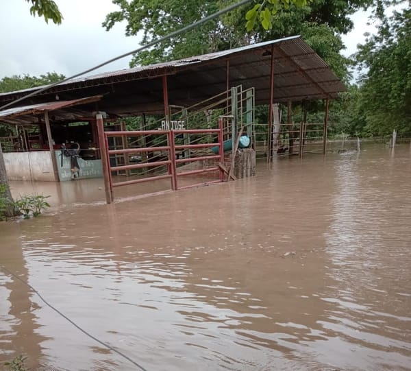 VIDEO. Propietario de finca señala riesgos por intervención en río Lebrija