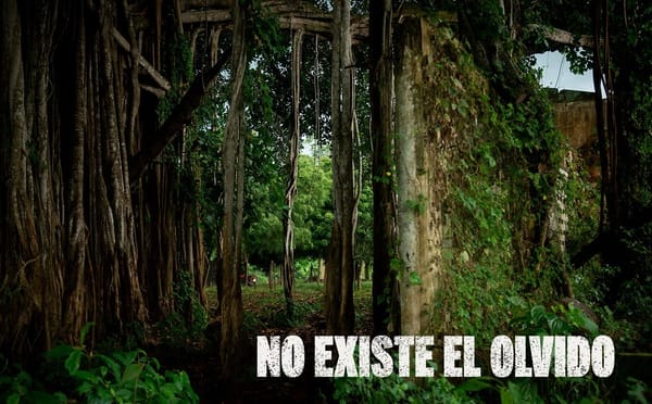 VIDEO. Estrenan serie documental 'No existe el olvido' que narra la desaparición forzada en San Onofre