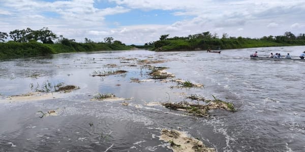 “Cormagdalena 2”, draga que asegurará navegabilidad en el Río Magdalena