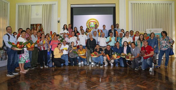 Familias productoras de cacao regresan a sus tierras en Santander