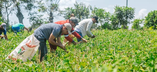 Ministra de Agricultura propone alianza con la banca para potenciar el agro