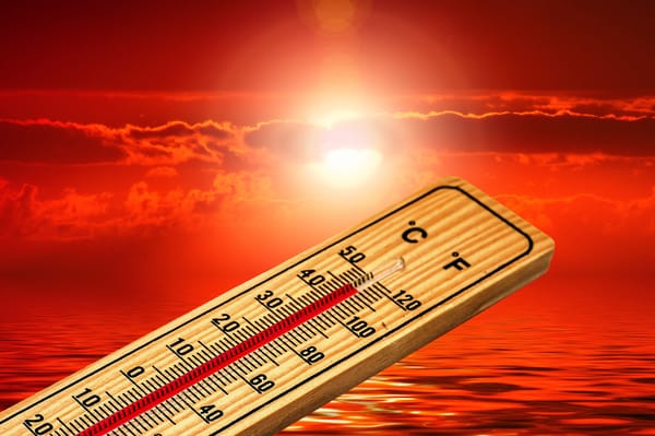 Calor histórico en Nueva York: Temperaturas podrían superar los 94°F
