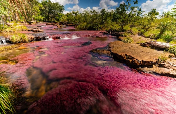 Santander se suma a la lucha por la biodiversidad en la gira 'Rumbo a la COP16'