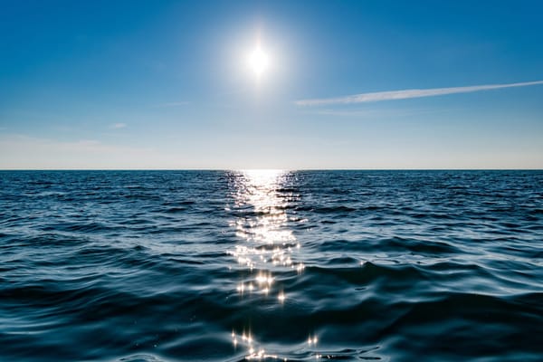 El calor implacable está devastando los océanos del mundo