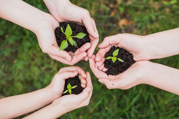 Santander llama a la acción en el Día Mundial del Medio Ambiente