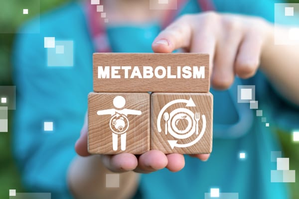 Alternativas al azúcar para una vida saludable