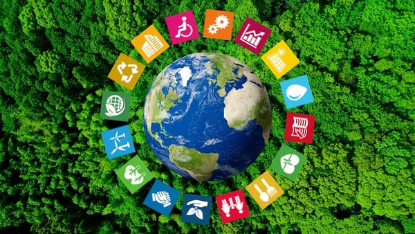Universidad del Rosario mejor del país en ODS 16 y 11 en nuevo ranking THE Impact 2024