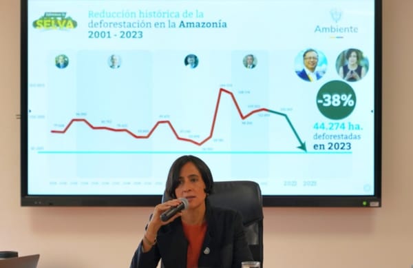 Colombia redujo la deforestación en un 36% en 2023