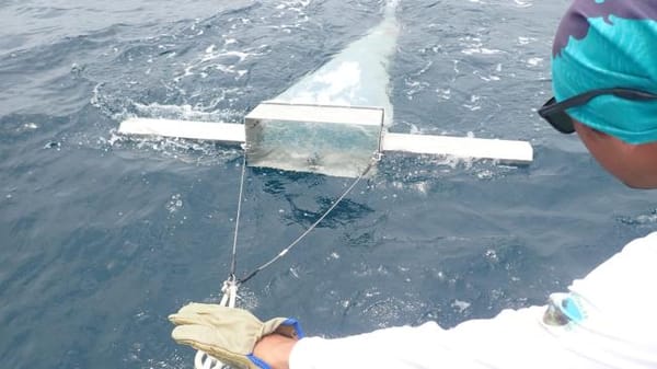 Investigación alarma sobre contaminación marina por microplásticos en Colombia