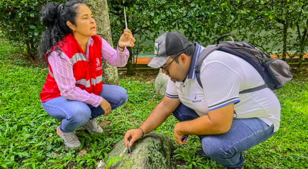 Floridablanca intensifica prevención del dengue