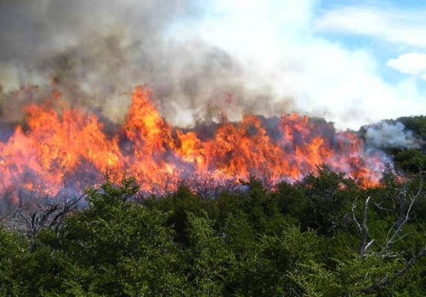 Autoridades de Santander alertan a campesinos sobre riesgo de incendios forestales