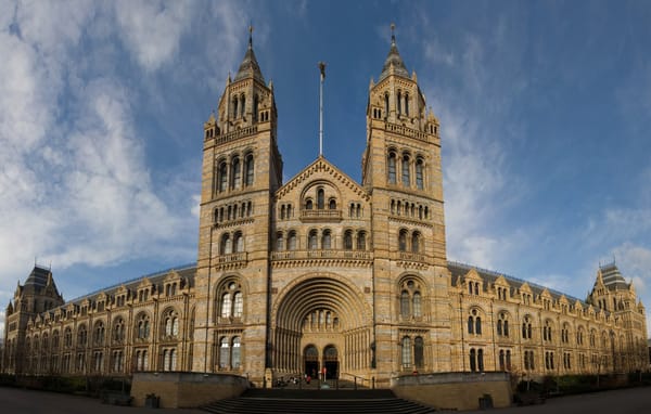 La COP16 se presenta en el icónico Museo de Historia Natural de Londres