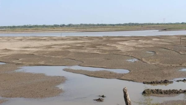 Puerto Wilches enfrenta crisis por sequía del río Magdalena