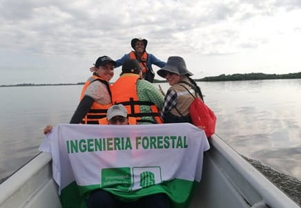 Estudiantes de Ingeniería Forestal revitalizan ecosistemas en Santander