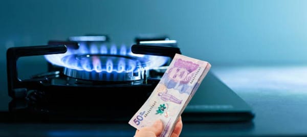 Freidoras de aire y ollas multifuncionales, el plan B ante el alza del gas
