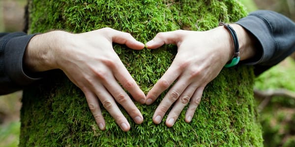 Biofilia: exposición que te hará sentir, explorar y proteger la naturaleza