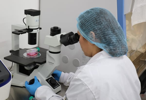 Cúrcuma y sacha inchi: aliados inesperados en la batalla contra el cáncer